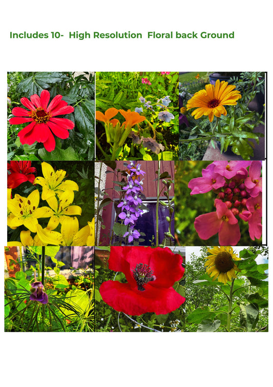 Floral Vision Board Kit: 10 Wildflower Backgrounds + Bonus Page (Digital Download) Gi