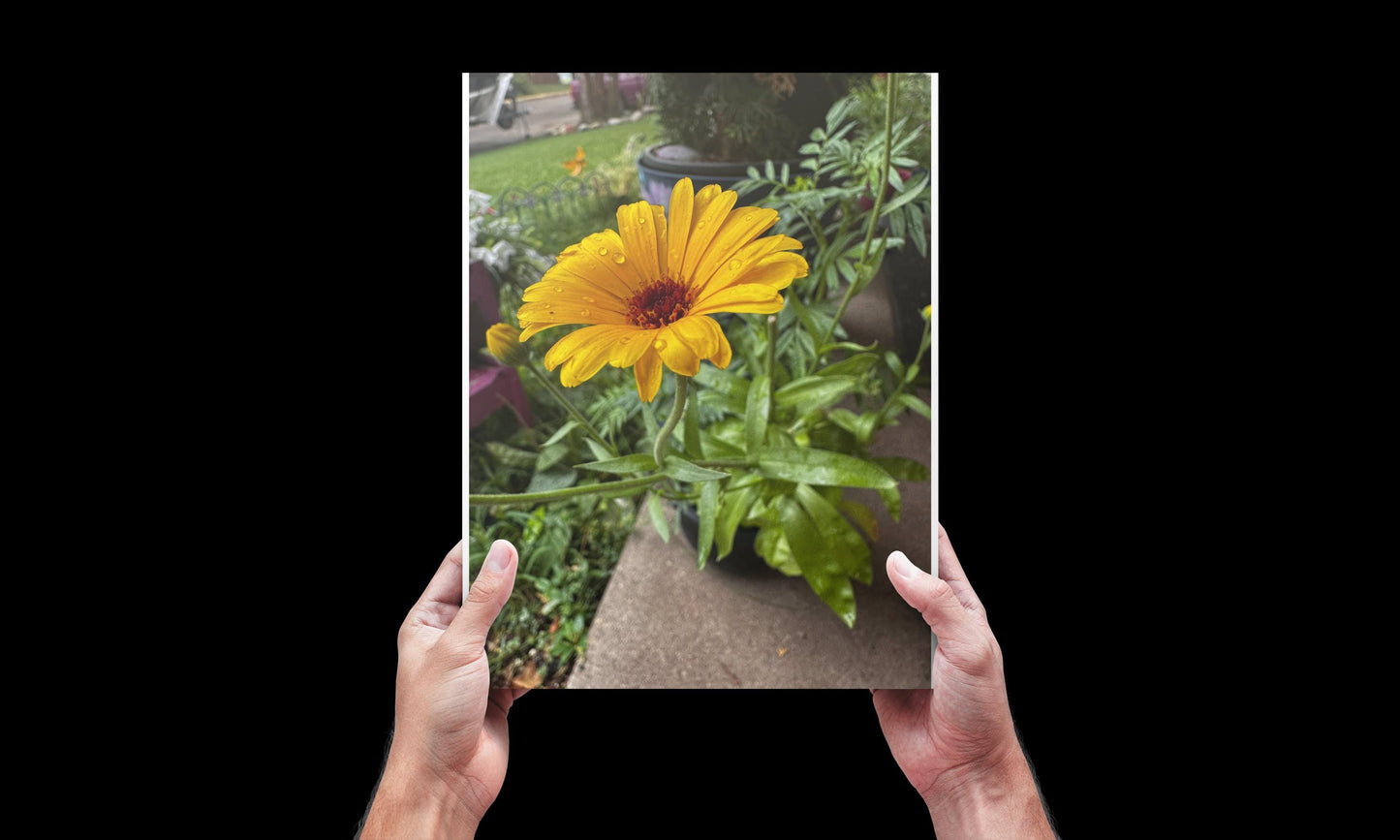 Floral Vision Board Kit: 10 Wildflower Backgrounds + Bonus Page (Digital Download) Gi