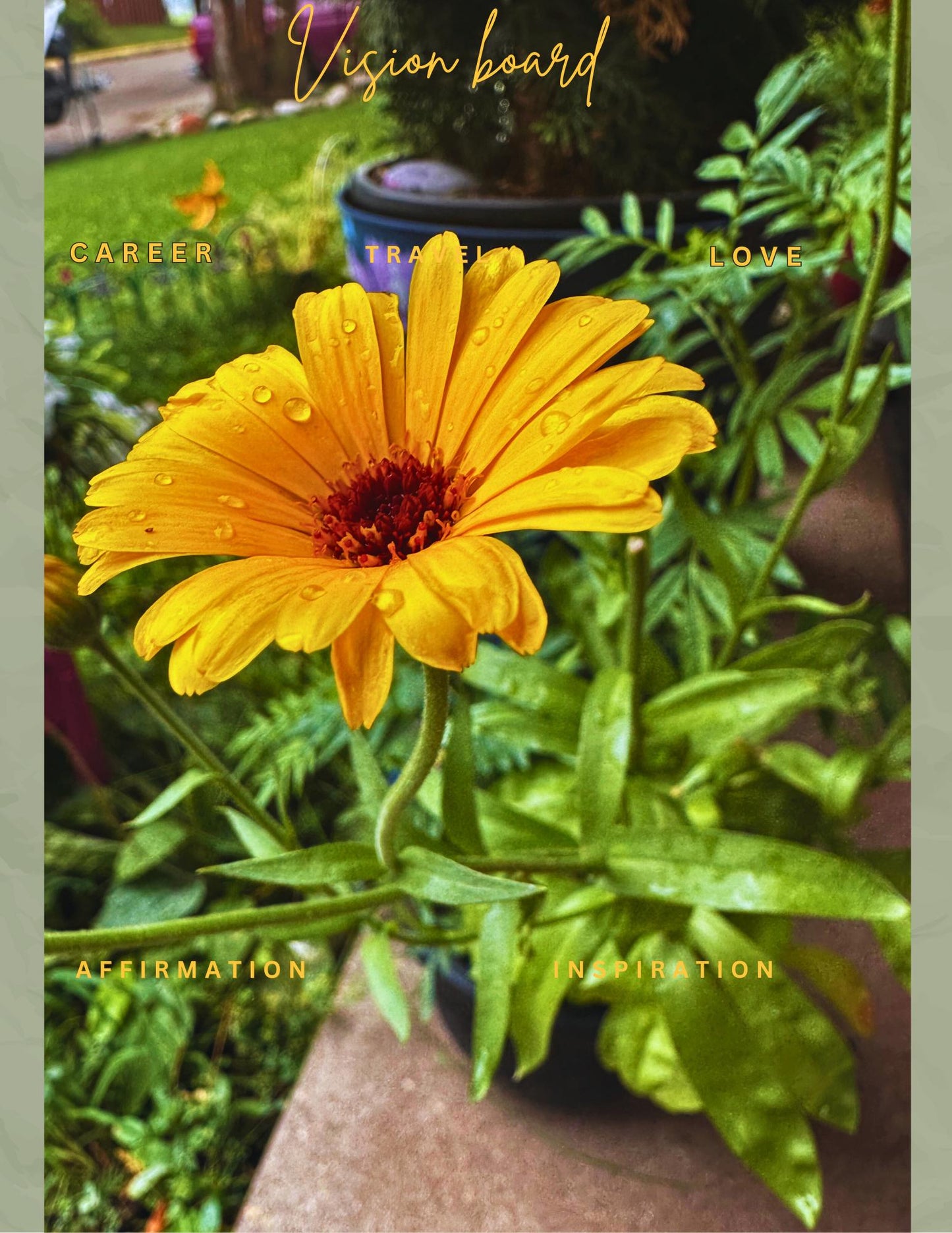 Floral Vision Board Kit: 10 Wildflower Backgrounds + Bonus Page (Digital Download) Gi